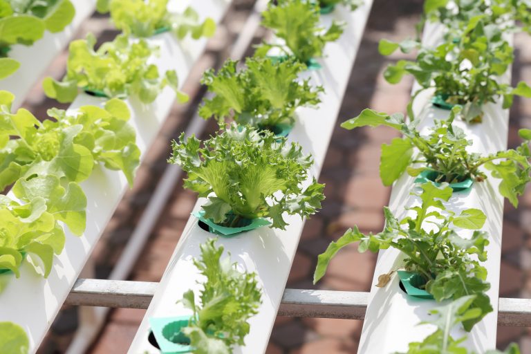 © colourbox#12094507